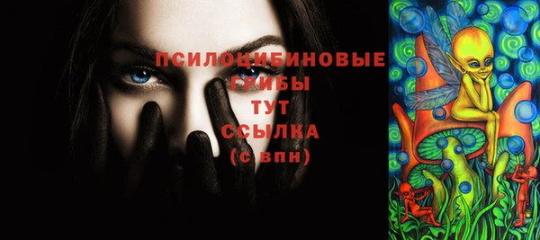 твердый Верхний Тагил
