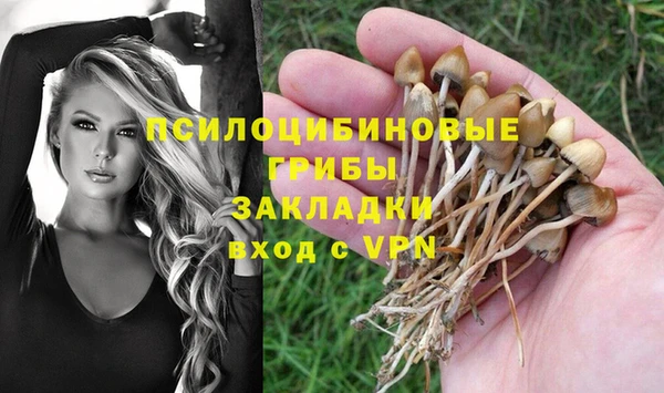твердый Верхний Тагил