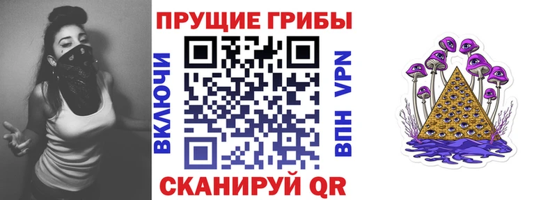 Псилоцибиновые грибы Psilocybe Бронницы